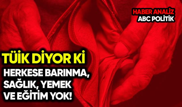 TÜİK: Herkese barınma, sağlık, yemek ve eğitim yok!