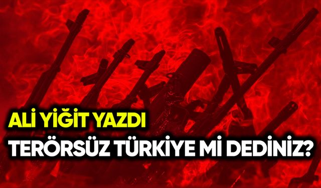 Terörsüz Türkiye Söylemi Üzerine Notlar