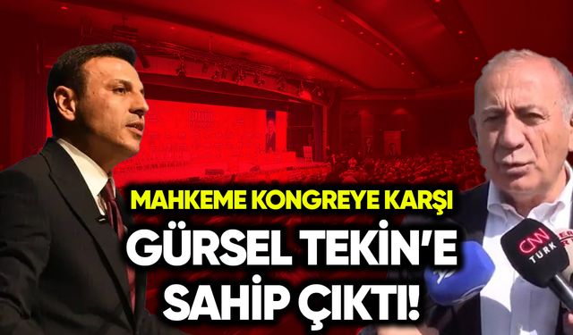Mahkeme kongreye karşı Tekin’e sahip çıktı!
