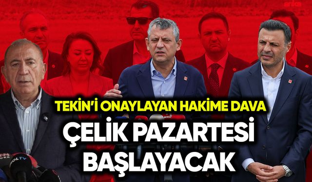 Tekin'i onaylayan hakime dava: Çelik Pazartesi başlayacak