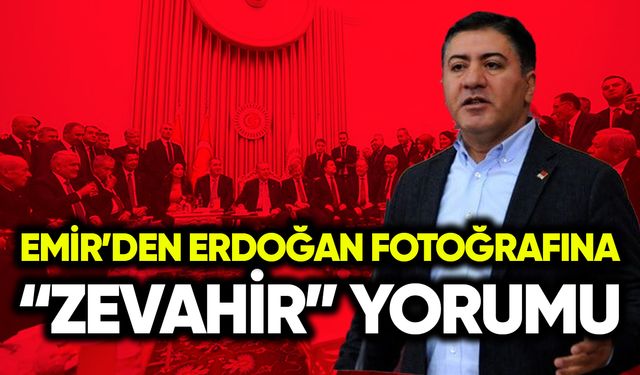 Murat Emir’den Erdoğan fotoğrafına “Zevahir” yorumu