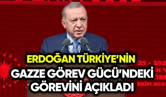 Erdoğan Türkiye’nin Gazze Görev Gücü’ndeki görevini açıkladı