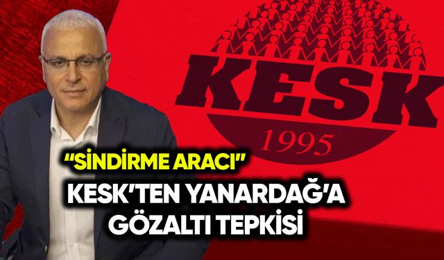 KESK’ten Yanardağ’a gözaltı tepkisi: Sindirme aracı