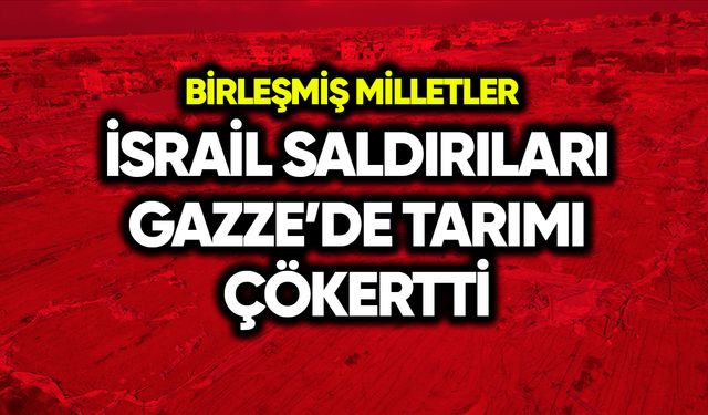 İsrail saldırıları Gazze’deki tarımı çökertti