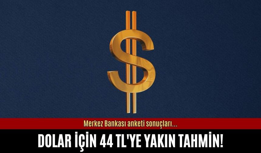 Dolar için 44 TL'ye yakın tahmin!