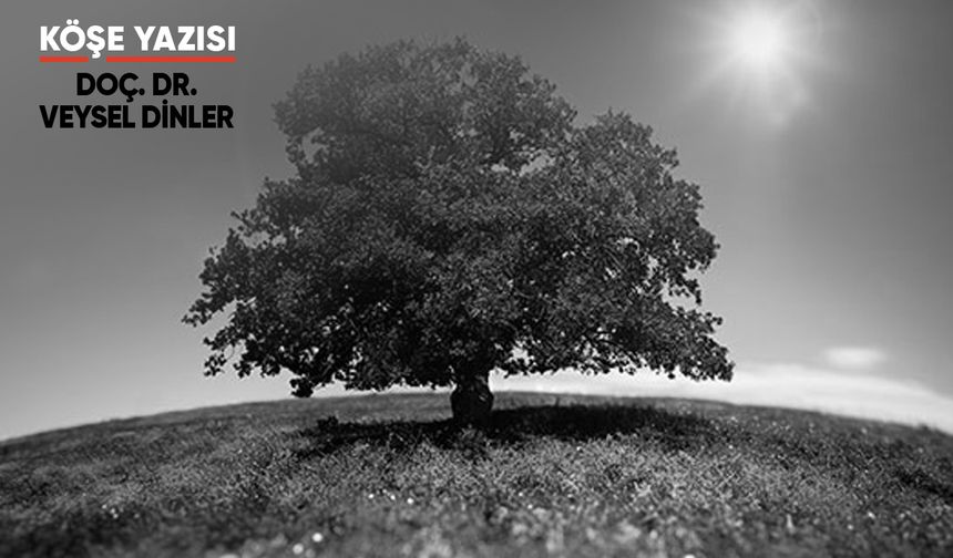 Her Ağacın Kurdu Kendinden Olur
